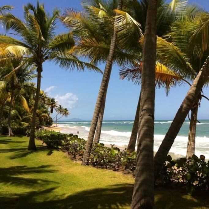 Apartamento Beach Access + 3 Pools + Ocean Views - 2Br In Palmas - Sleeps 7 Humacao Exterior foto